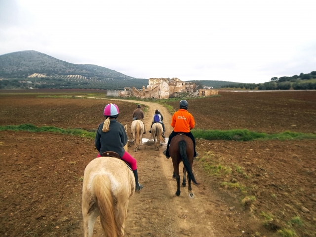 Reitroute. 