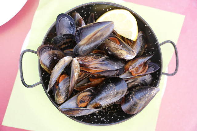 Mejillones Km0 para finalizar la actividad