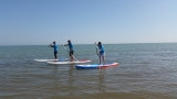 Location de paddle surf dans le delta de l'Èbre 1 heure