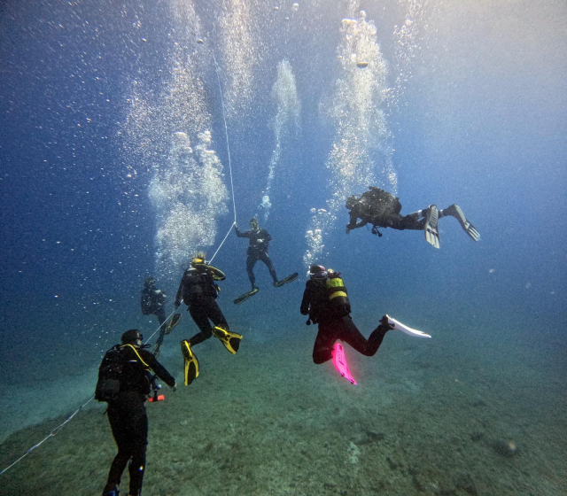  Conosci i fondali marini di Gran Canaria 