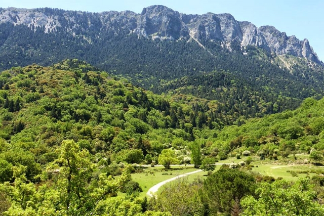 Sierra de Grazalema