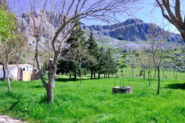 Campo con pozo de agua