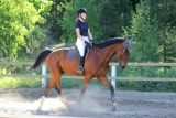 Bonus 10 lezioni di equitazione a Madrid