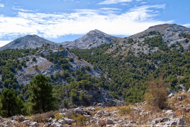 Vistas