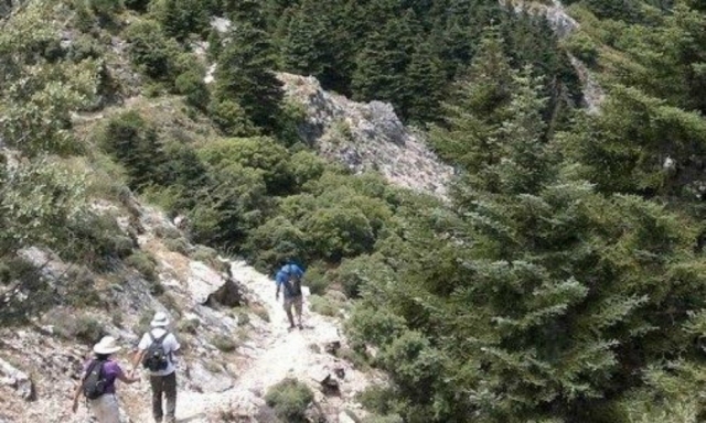 camicrema por la sierra