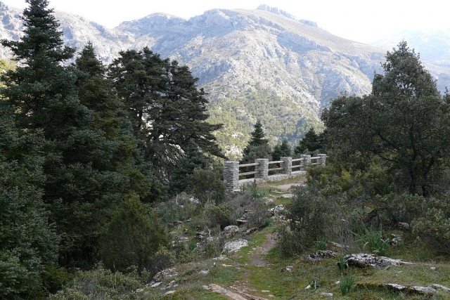 Mirador