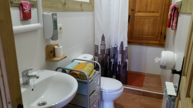 Cabin toilet 