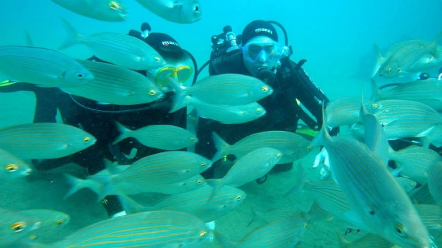  Taucherlebnis 
