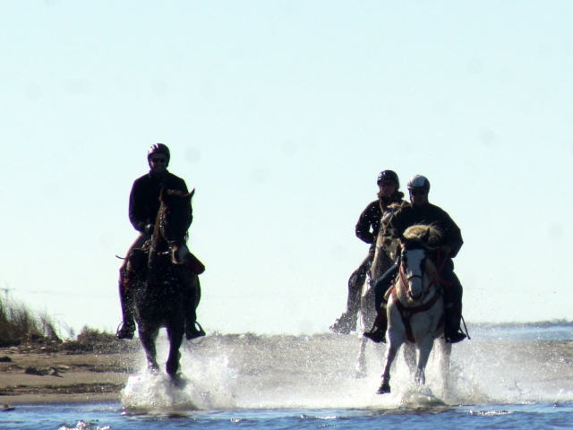  Horseback riding on Cambrils beach 