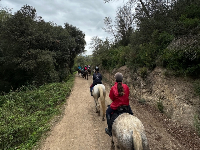 A caballo por Collserola