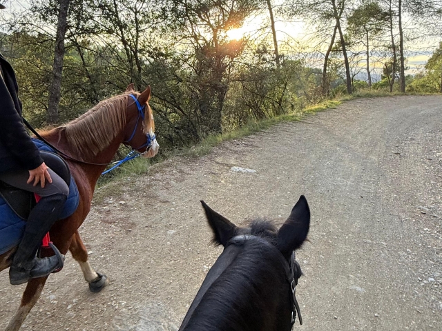 Disfrutando de un paseo a caballo