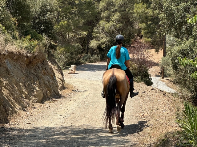 Paseo a caballo 