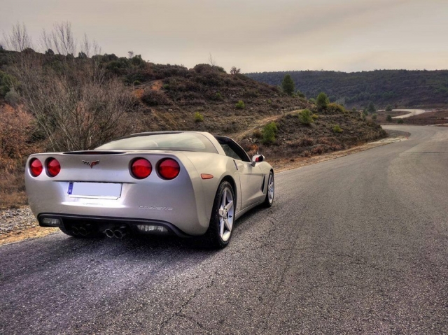 Parte trasera del corvette plateado