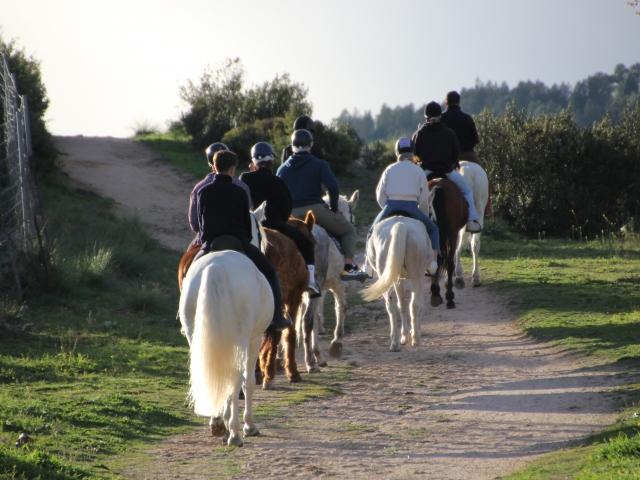  zu Pferd durch die Pedriza