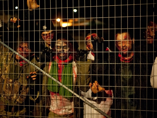 Tratando de pasar la verja