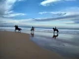 Équitation Playa de Gandía pendant la journée 2 heures