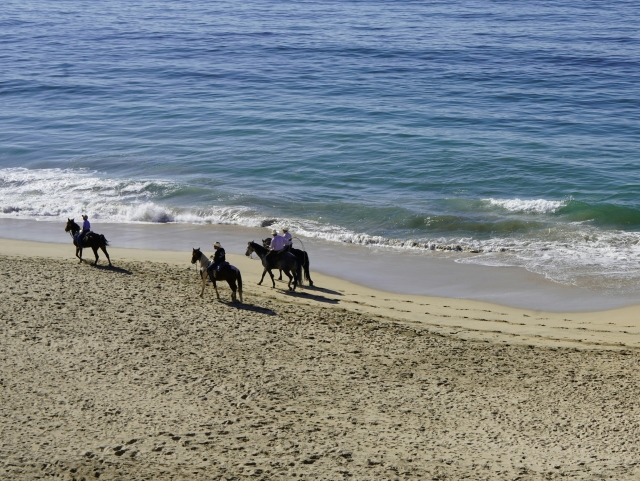 A caballo por la playa