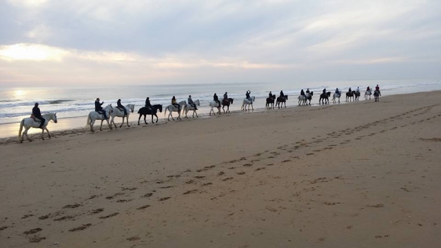 Route à travers Donana 