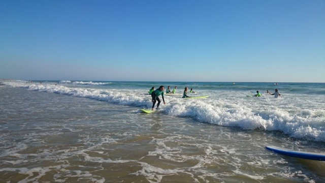  Cours de surf quotidiens 