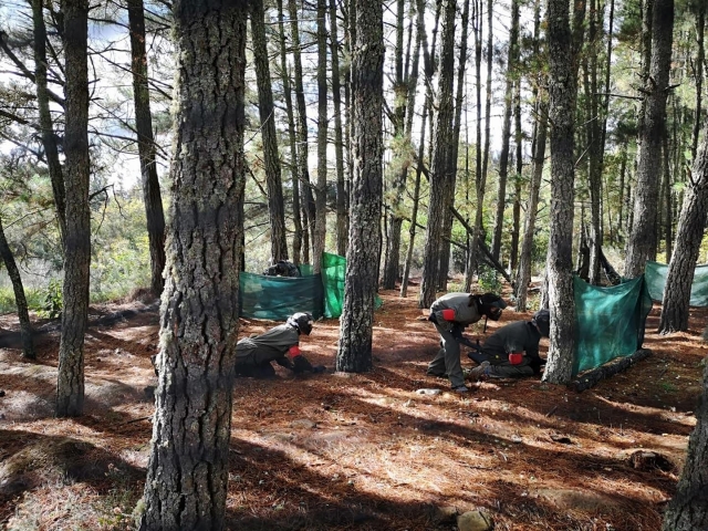  Paintball nella pineta 