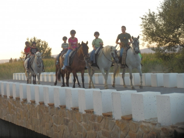 Ruta en Cabaneros