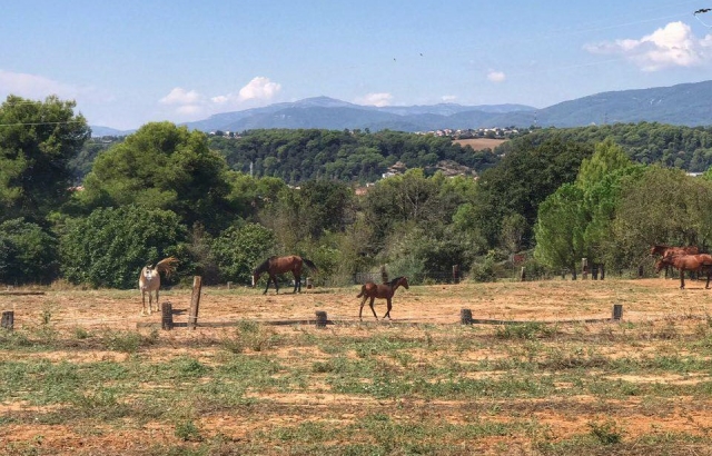 Vive una cabalgamarra por el Parque Natural del Montseny