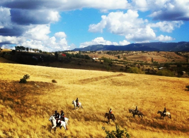Cavalgando por grandes espaços 