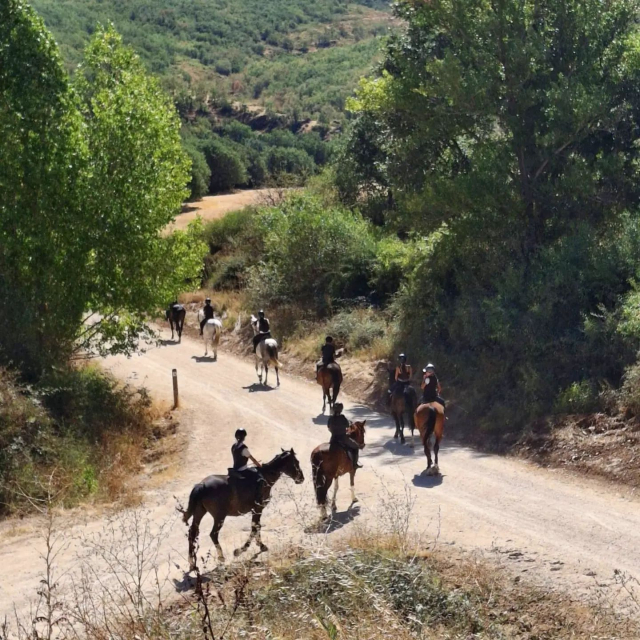 Galloping horseback riding route along the roads of Riaza 1h