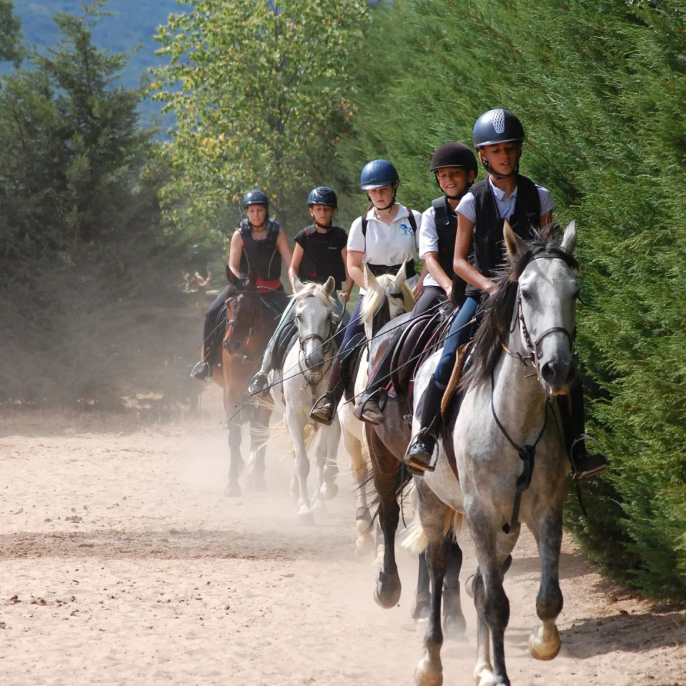  Passeggiata a cavallo nella Riaza 
