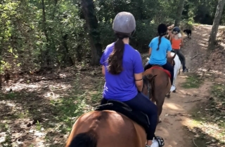 Escursione a cavallo al Río Tenés 4 ore + lezione + cibo