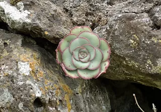 穿过安特克拉峡谷并乘船 6 小时