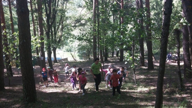  Jogos na floresta 