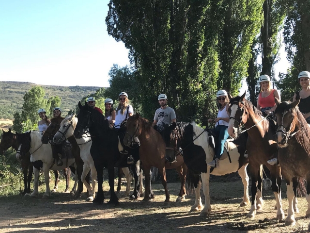  Reiten 