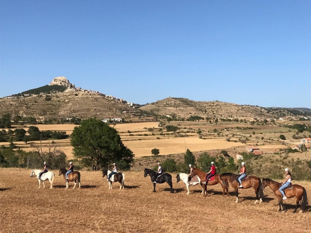  Reiten in Castellón 