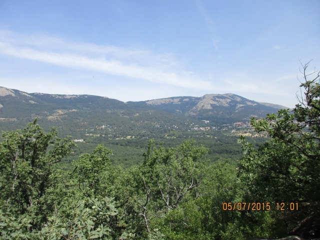 Bosque