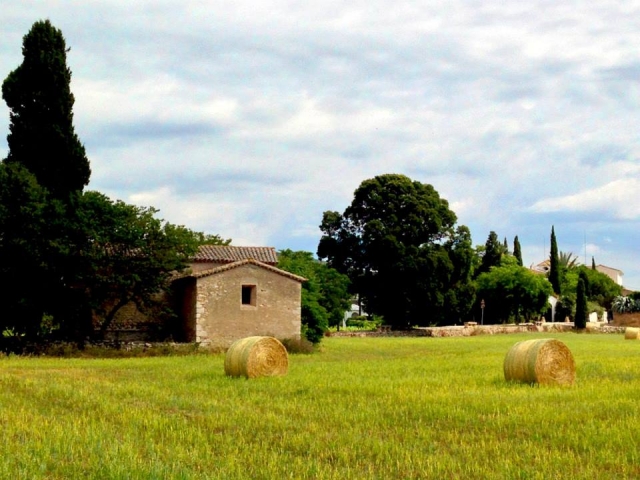  Estate in fattoria