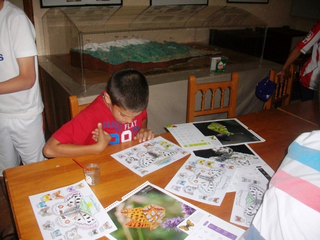 Verschiedene Workshops 