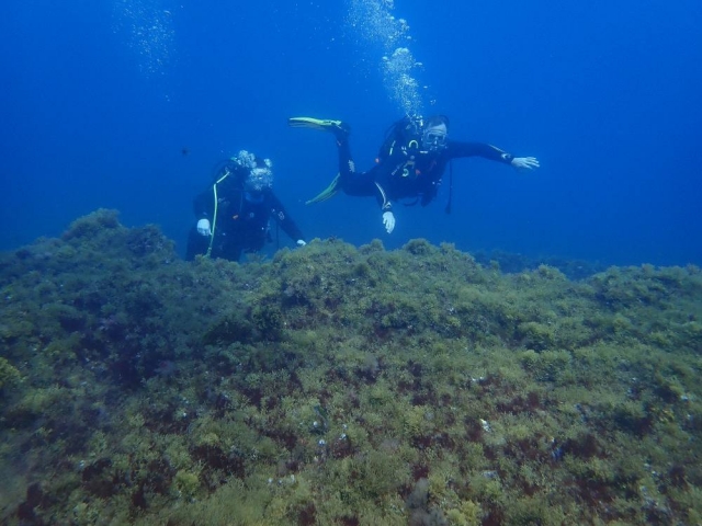 Salida de buceo en Playa del Inglés