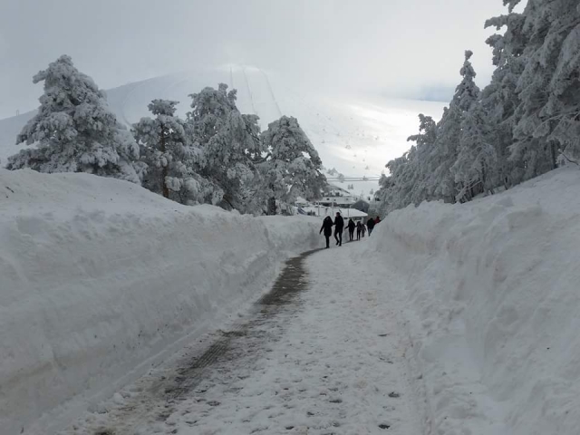 Snow path 