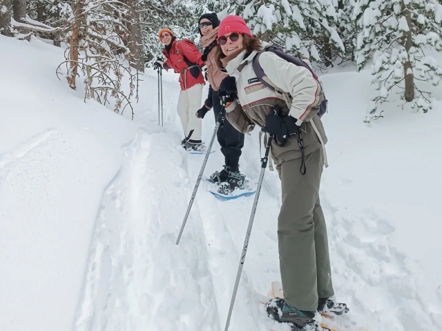 带雪球拍的皮里诺·吉罗尼斯（Pyrineo Girones），带有雪地球拍