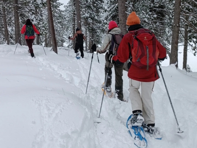 Recorre Masella con raquetas de nieve