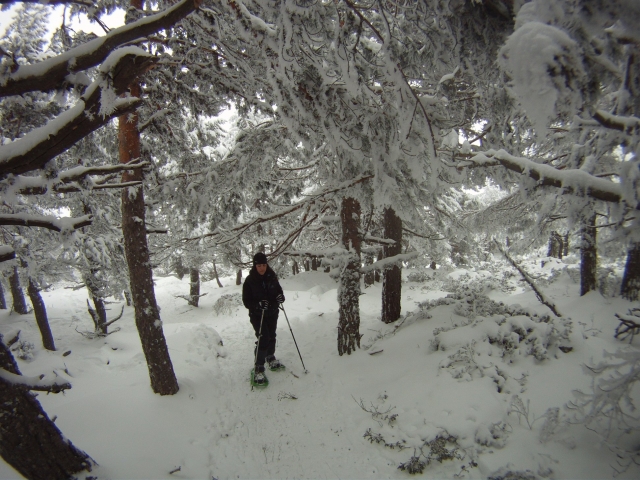  Atravessando os bosques de Guadarrama