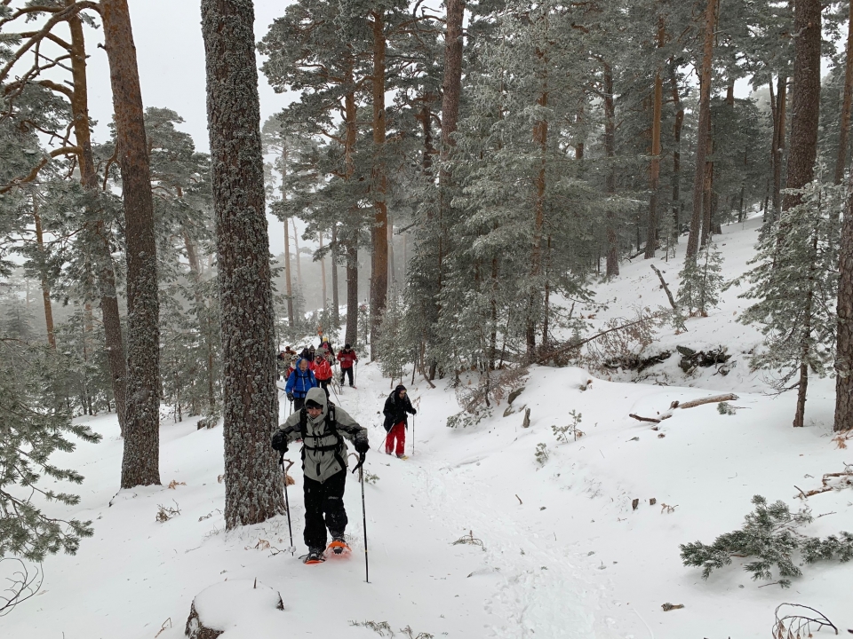  Raquetes de neve em Madrid 