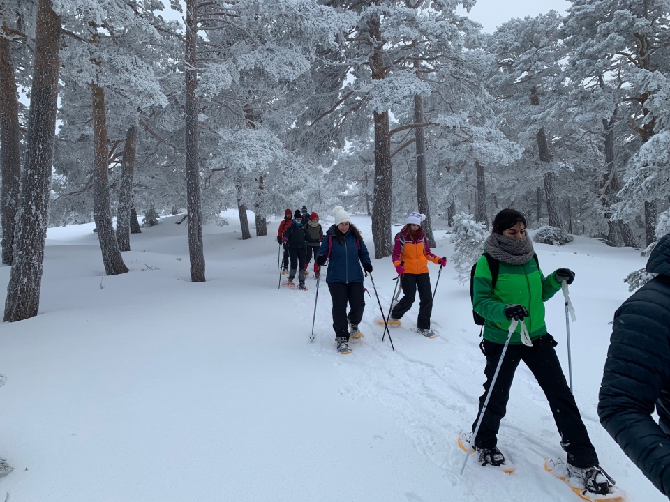  Percurso com raquetes de neve 