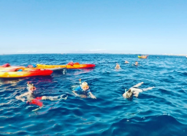 Snorkeling accanto ai kayak 