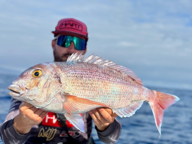  Cattura i pesci migliori 