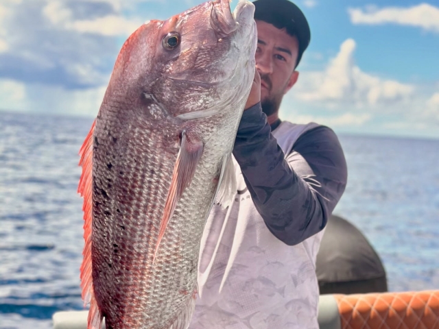  Mostra i pesci più belli di Gran Canaria