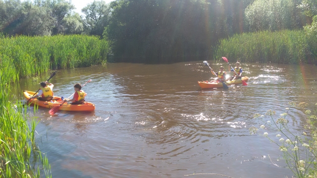  Activité canoë