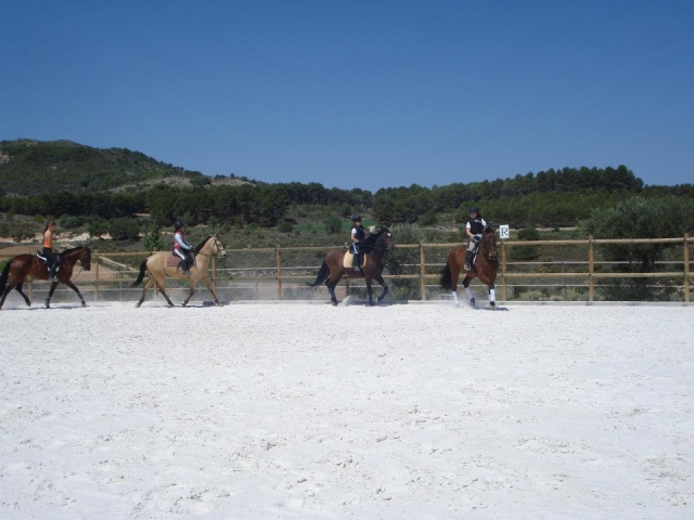  Passeggiata a cavallo su pista 