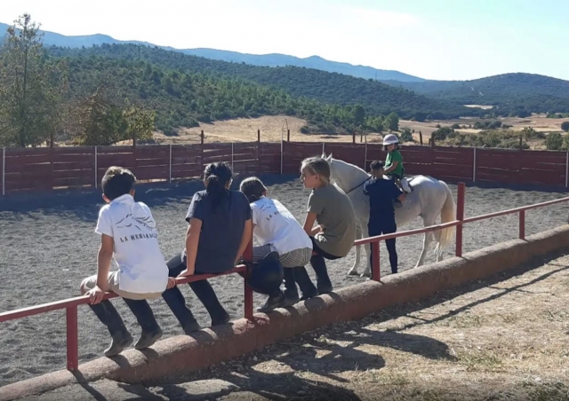  Un gruppo di piccoli aspetta il proprio turno andare a cavallo